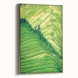 Framed canvas depicting a vintage-style landscape with spring themes in muted gold and black tones.