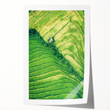 Spring-themed floral art on rolled canvas, displaying vibrant green and pink tones, ideal for dining room wall decor.
