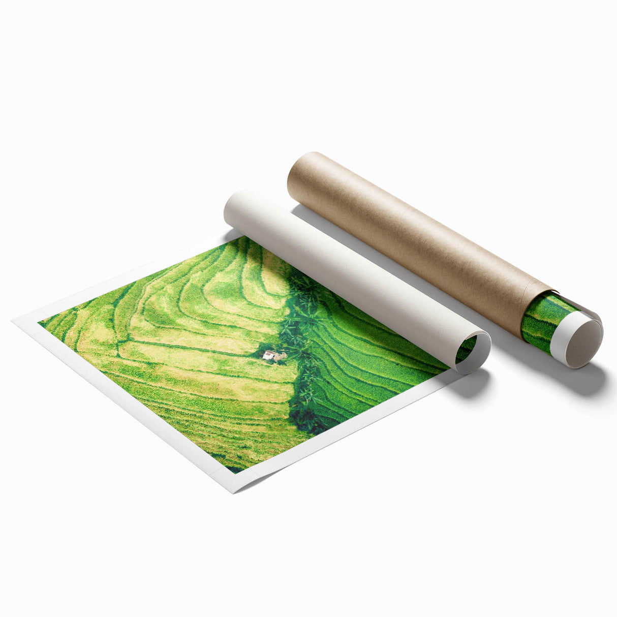 Extra large rolled print featuring a floral art design in pastel shades.