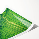 Extra large wall art featuring line art flowers in black on white, ideal for large living room decor.