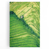 Black and white abstract floral design on large stretched canvas, ideal for kitchen wall art.