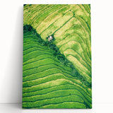 Black and white abstract depiction of spring on large stretched canvas, ideal for kitchen wall art or bedroom ambiance.