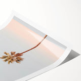 Extra large wall art featuring line art flowers in black on white.