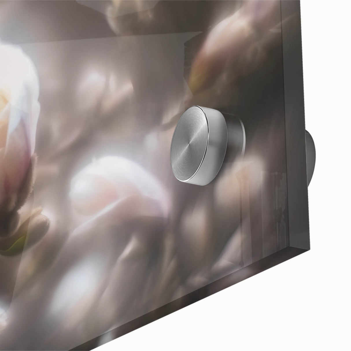 Whispers in Bloom – Ethereal Floral Motion Captured in Soft Focus