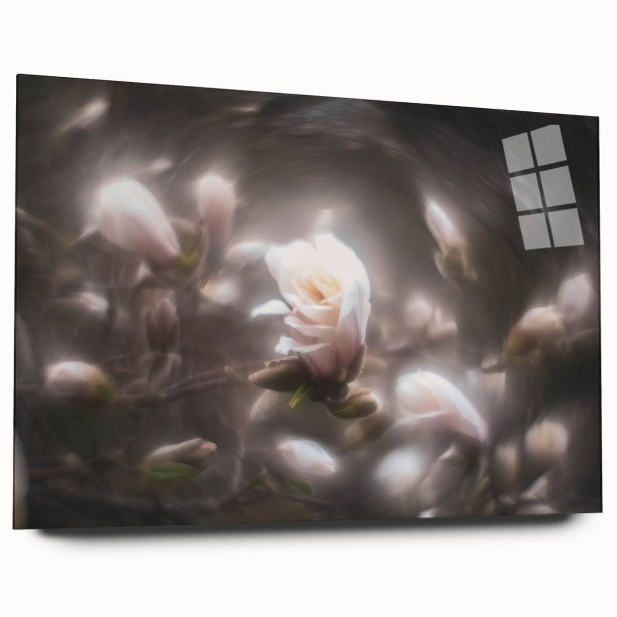 Whispers in Bloom – Ethereal Floral Motion Captured in Soft Focus