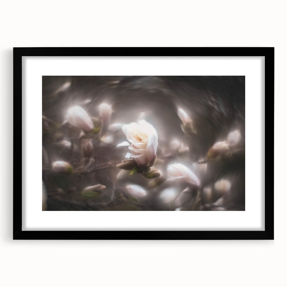 Whispers in Bloom – Ethereal Floral Motion Captured in Soft Focus