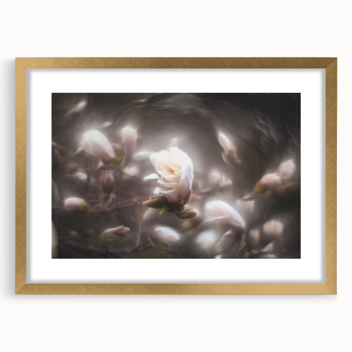 Whispers in Bloom – Ethereal Floral Motion Captured in Soft Focus