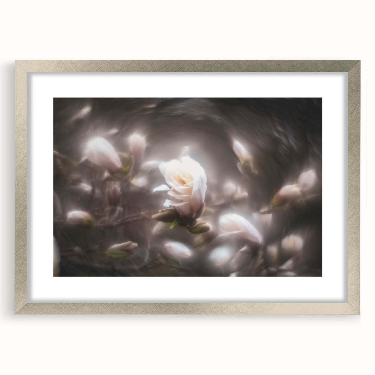 Whispers in Bloom – Ethereal Floral Motion Captured in Soft Focus