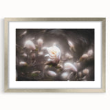 Whispers in Bloom – Ethereal Floral Motion Captured in Soft Focus