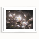 Whispers in Bloom – Ethereal Floral Motion Captured in Soft Focus