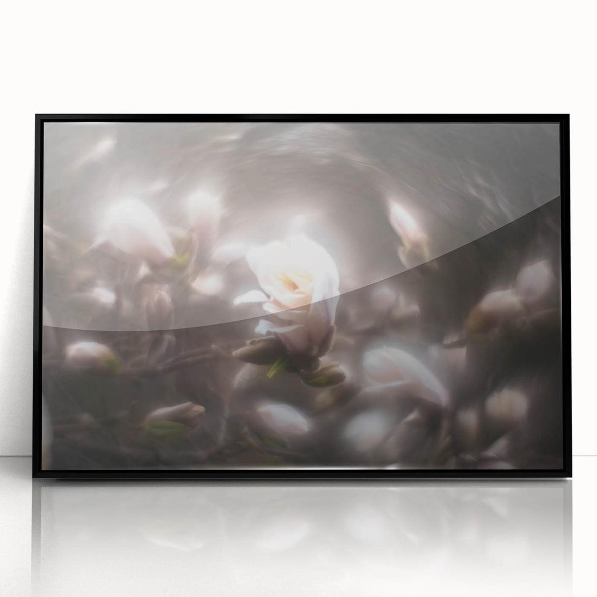 Whispers in Bloom – Ethereal Floral Motion Captured in Soft Focus