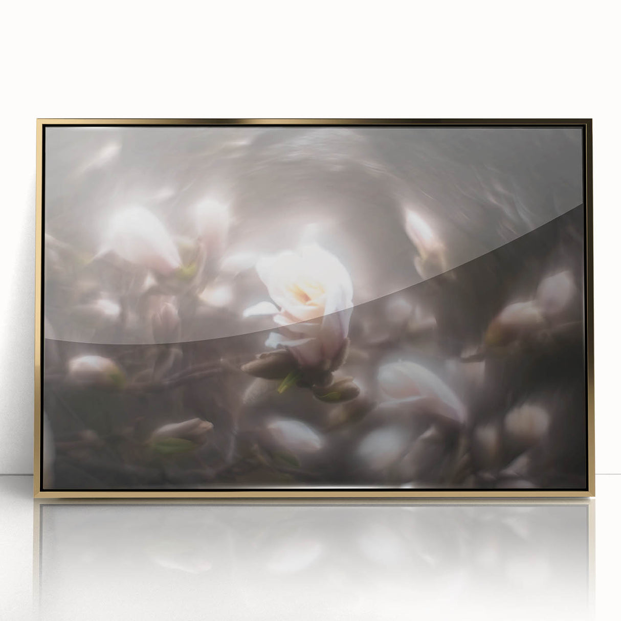 Whispers in Bloom – Ethereal Floral Motion Captured in Soft Focus
