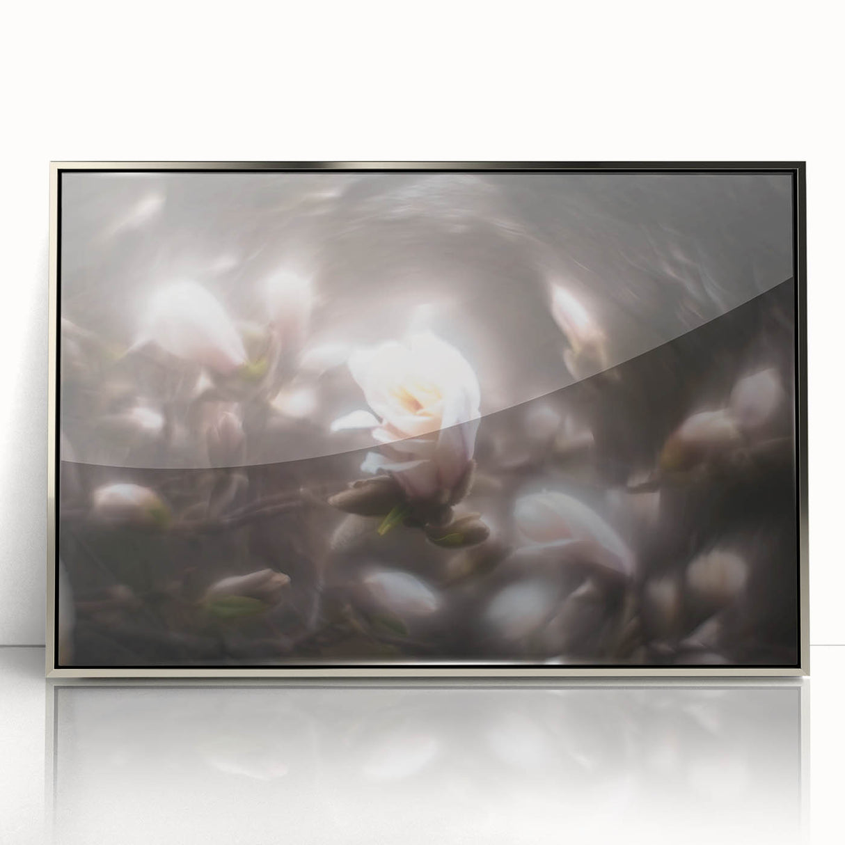 Whispers in Bloom – Ethereal Floral Motion Captured in Soft Focus