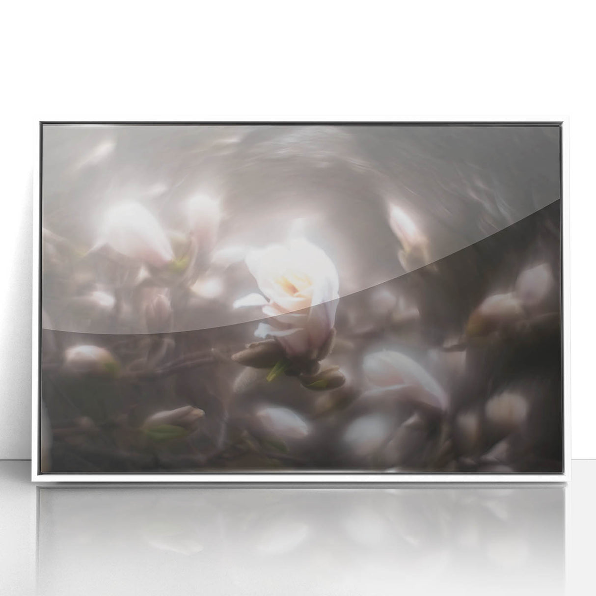 Whispers in Bloom – Ethereal Floral Motion Captured in Soft Focus