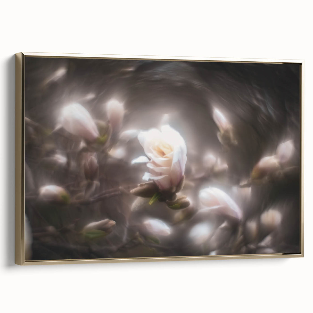 Whispers in Bloom – Ethereal Floral Motion Captured in Soft Focus