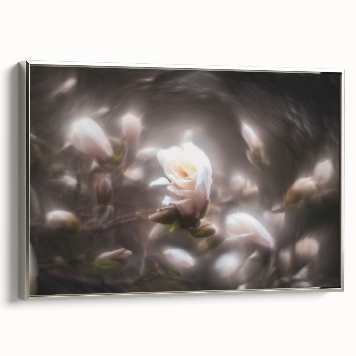 Whispers in Bloom – Ethereal Floral Motion Captured in Soft Focus