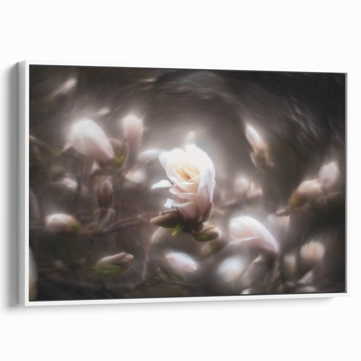 Whispers in Bloom – Ethereal Floral Motion Captured in Soft Focus