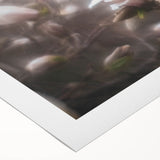Whispers in Bloom – Ethereal Floral Motion Captured in Soft Focus