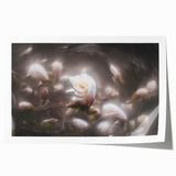 Whispers in Bloom – Ethereal Floral Motion Captured in Soft Focus
