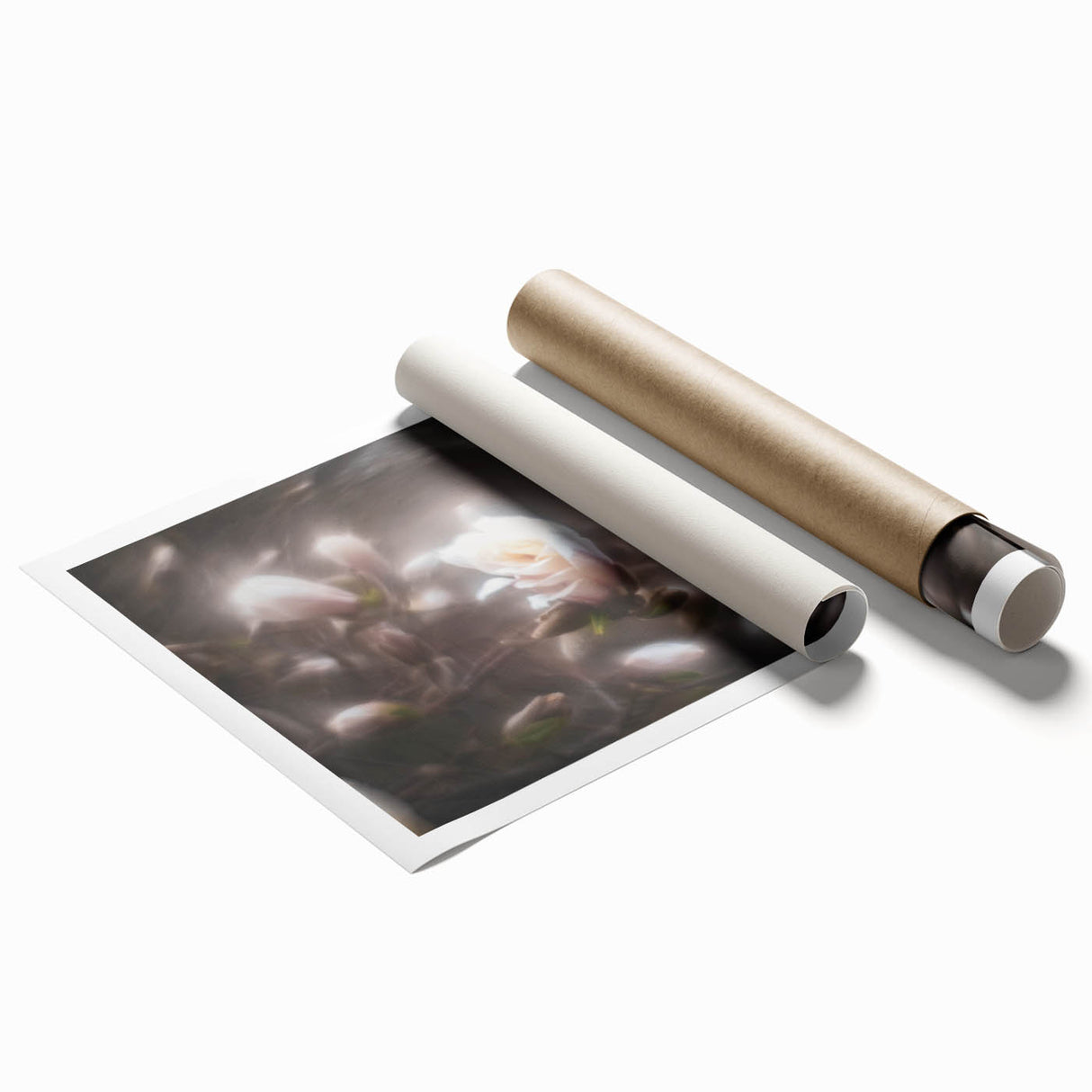 Whispers in Bloom – Ethereal Floral Motion Captured in Soft Focus