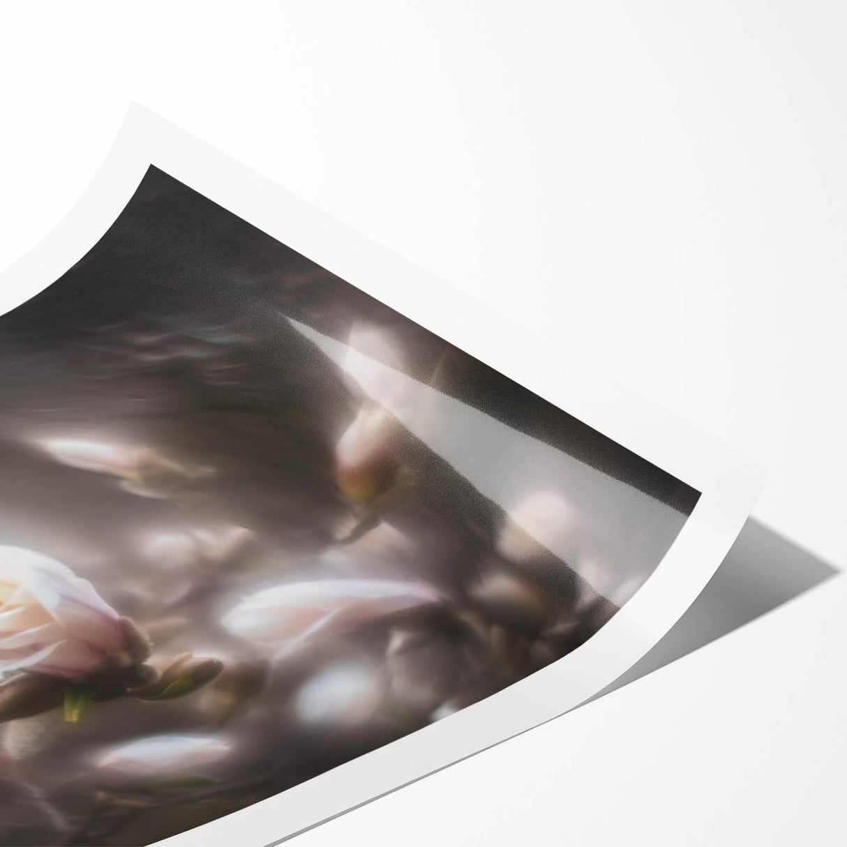 Whispers in Bloom – Ethereal Floral Motion Captured in Soft Focus