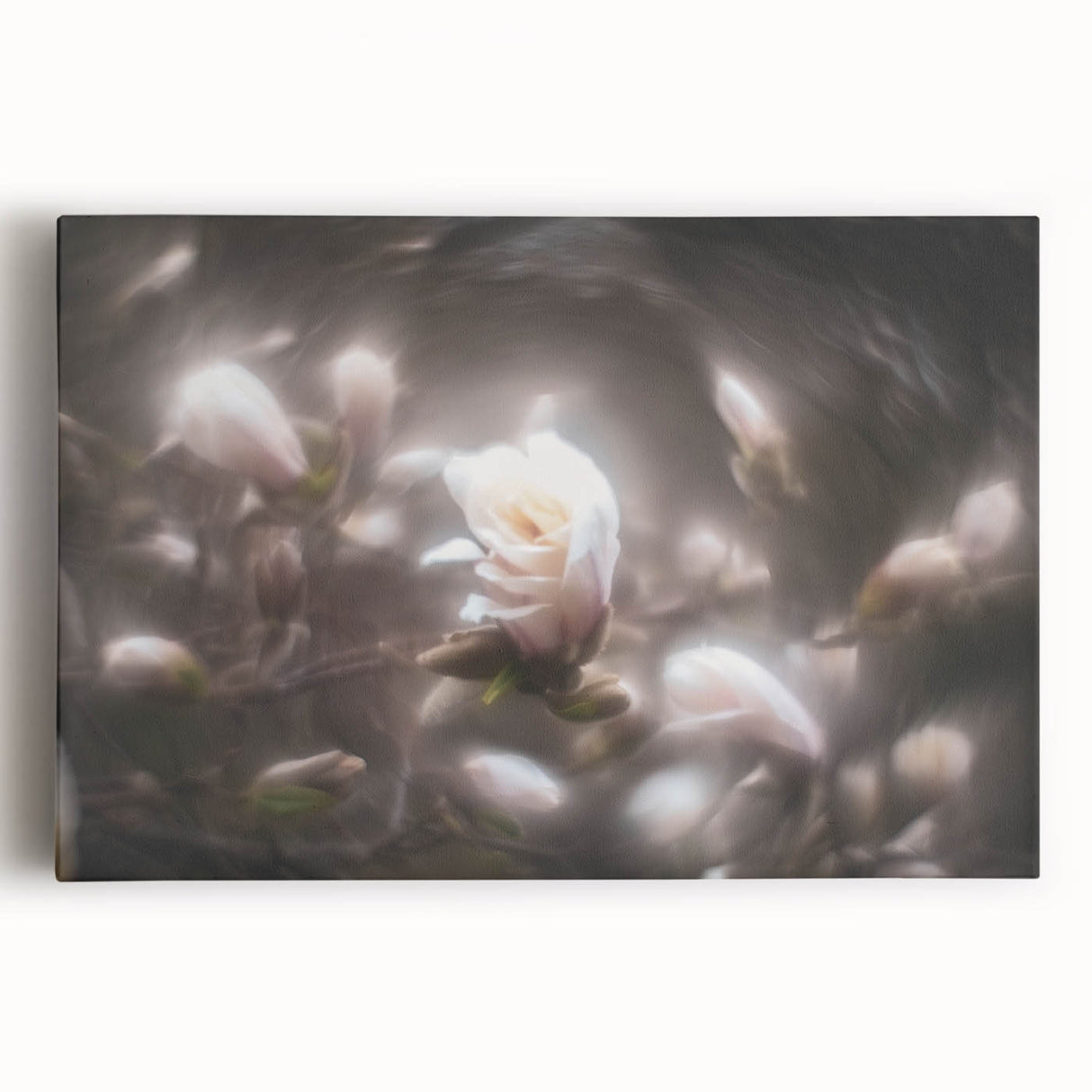 Whispers in Bloom – Ethereal Floral Motion Captured in Soft Focus