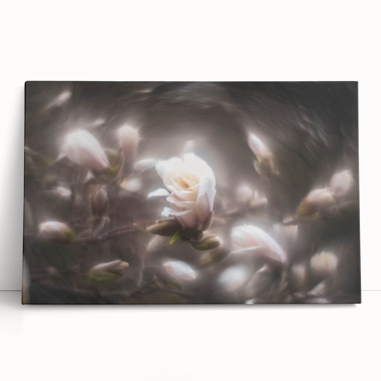 Whispers in Bloom – Ethereal Floral Motion Captured in Soft Focus