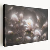 Whispers in Bloom – Ethereal Floral Motion Captured in Soft Focus
