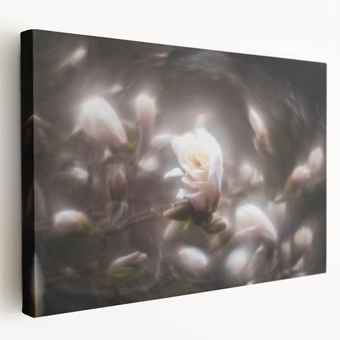 Whispers in Bloom – Ethereal Floral Motion Captured in Soft Focus