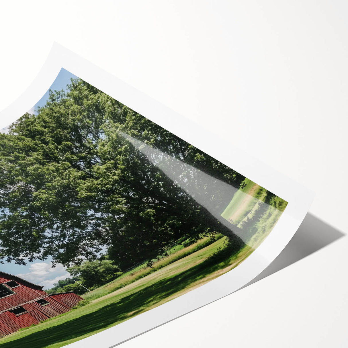 Rolled print showcasing a vibrant landscape of a rustic barn set against a blue sky, featuring rich colors and intricate details, ideal for home decor.