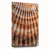 Acrylic glass print of close-up floral designs in vibrant colors, suitable for bedroom or dining room decor.