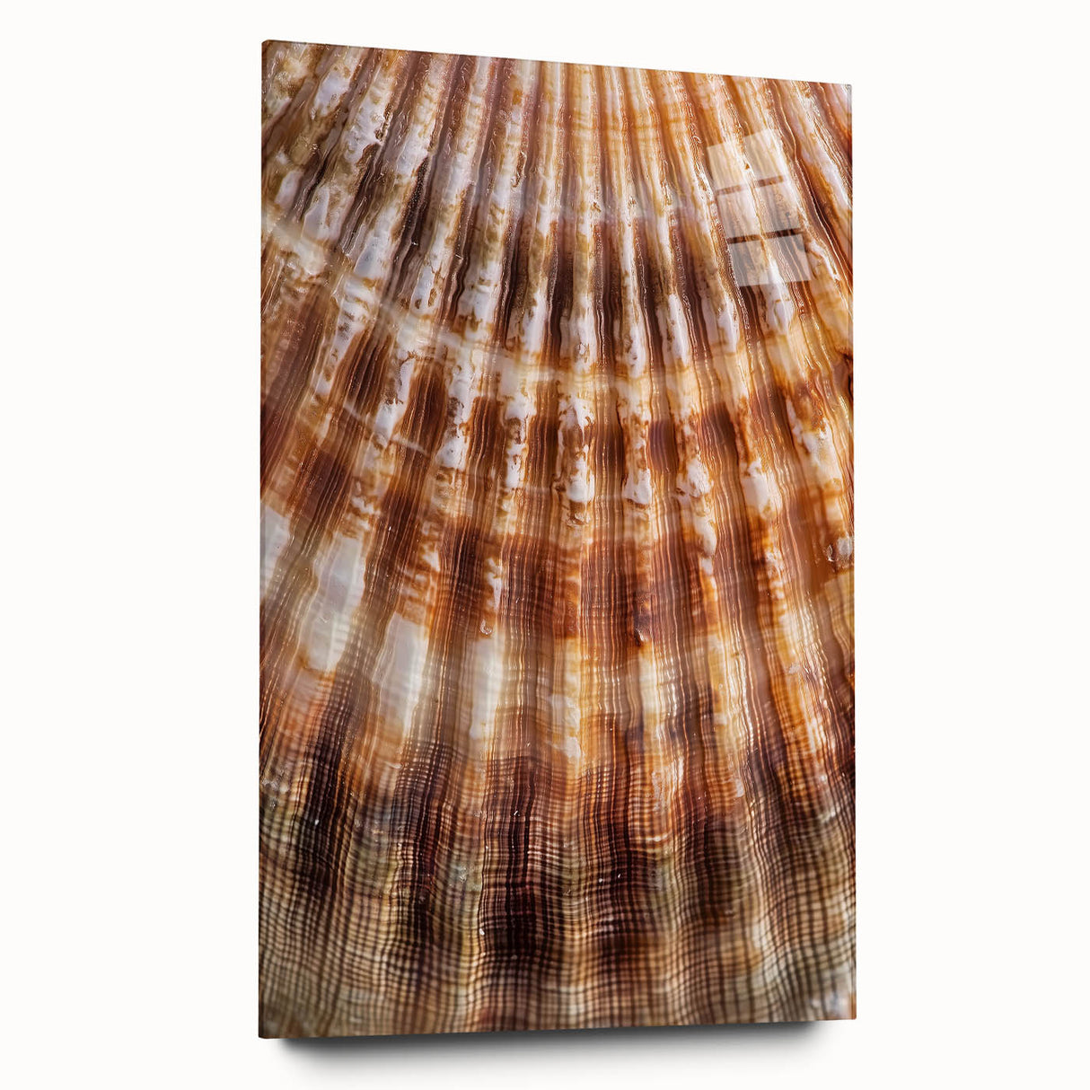 Large abstract floral print on acrylic glass, featuring soft pink and green tones, ideal for bedroom or dining room art.