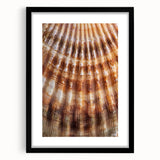 Extra large abstract art print with vibrant, colorful floral textures on a black framed canvas, ideal for living room decor.