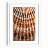 Abstract art print featuring a close-up of floral elements in soft pastel shades, displayed in a white frame.