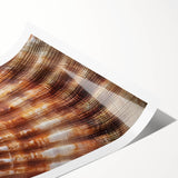 Extra large wall art featuring line art flowers in black and white on a rolled print, ideal for large living room decor.