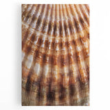 Black and white close-up floral image on stretched canvas, ideal for kitchen wall art.