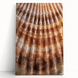 Black and white close-up floral photo on stretched canvas, ideal for kitchen wall art or bedroom ambiance.