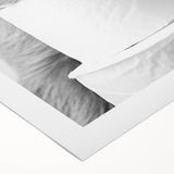 Adorable Sloth Bathroom Wall Art - Fun Black and White Bathroom Decor