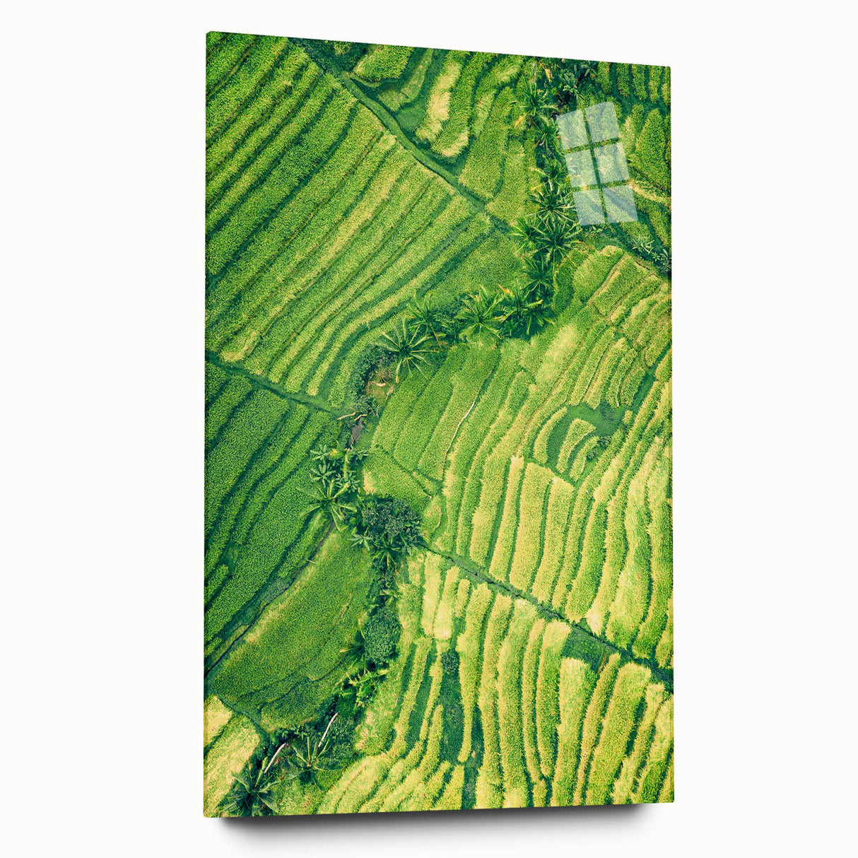 Large abstract wall art on acrylic glass depicting vibrant spring colors, ideal for bedroom or dining room decor.