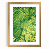 Extra large abstract art print featuring textured spring-themed imagery in soft pastel shades, framed in gold.