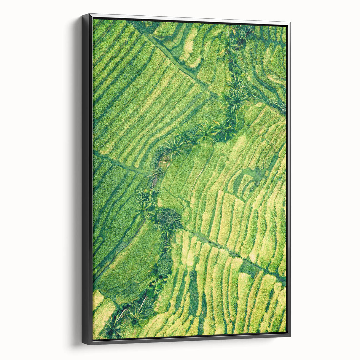 Black and white vintage landscape painting on a framed canvas, featuring a spring scene, ideal for bedroom decor.