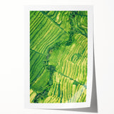 Spring floral art on rolled canvas featuring soft pink and green hues, ideal for art wall dining room decor.