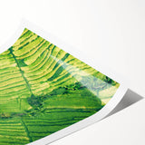 Extra large wall art featuring line art flowers in spring themes on a rolled print, suited for large living room decor.