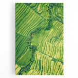 Black and white large art depicting the spring season on stretched canvas, ideal for kitchen wall art.