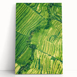 Large black and white abstract art on stretched canvas, featuring dynamic brush strokes.