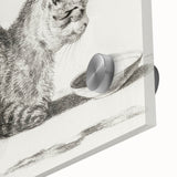 Famous Romantic Era Art: Brush Turkey - Historical Romantic Art Print