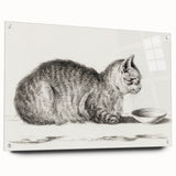 Famous Romantic Era Art: Brush Turkey - Historical Romantic Art Print