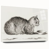 Famous Romantic Era Art: Brush Turkey - Historical Romantic Art Print