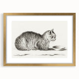 Famous Romantic Era Art: Brush Turkey - Historical Romantic Art Print