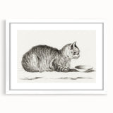 Famous Romantic Era Art: Brush Turkey - Historical Romantic Art Print